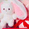 Soft Stuff Strawberry Reversible Bunny Zip Rabbit Soft Toy
